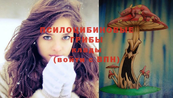 хмурый Алзамай