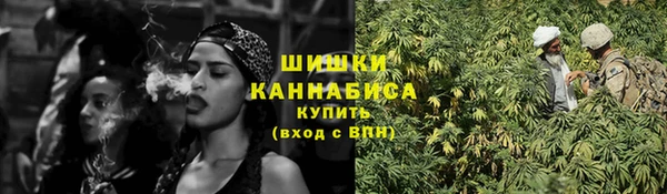 прущие грибы Абдулино