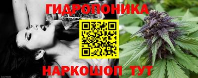 apvp Кизилюрт