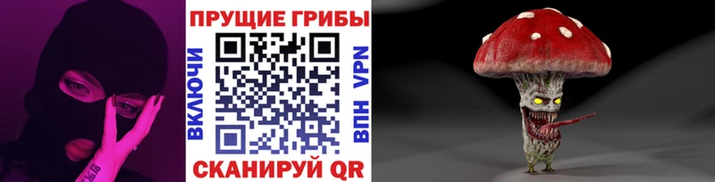 хочу   Белая Калитва  KRAKEN зеркало  сайты даркнета какой сайт  Псилоцибиновые грибы Psilocybine cubensis 