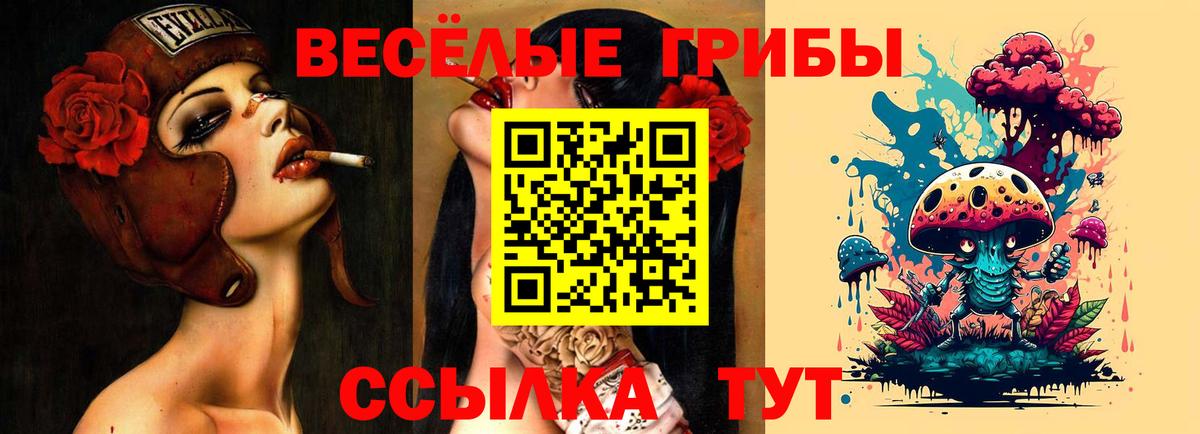 Псилоцибиновые грибы прущие грибы  Вход с VPN  Псилоцибиновые грибы Cubensis  Белая Калитва 